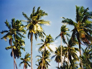 Ko Phangan | Thailand