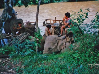 Trekking Tour, Pai | Thailand