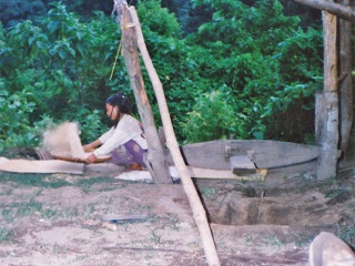 Trekking Tour, Pai | Thailand