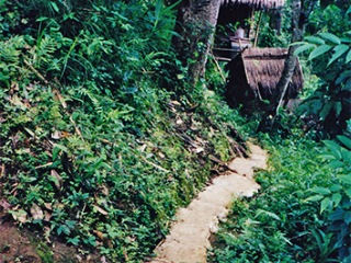 Trekking Tour, Pai | Thailand