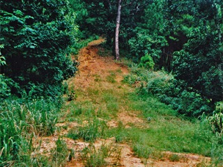 Trekking Tour, Pai | Thailand