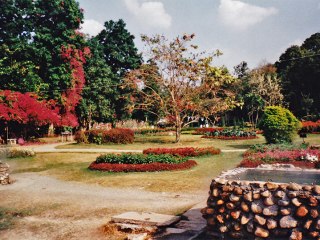 Chiang Mai | Thailand