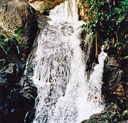 Ko Samui | Thailand