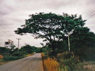 Lom Sak to Nong Khai | Thailand