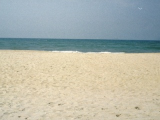 Da Nang | Vietnam