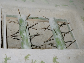 Vietcong | Vietnam