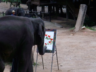 Chiang Mai | Thailand