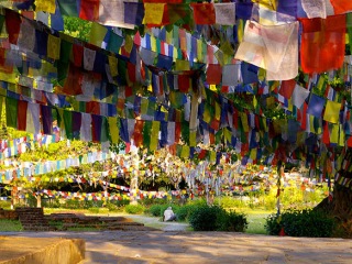 Lumbini | Nepal