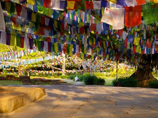 Lumbini | Nepal