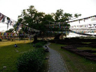 Lumbini | Nepal