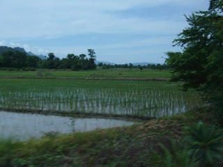 Mae Rim | Thailand