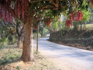 Pokhara | Nepal