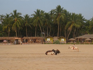 Goa | Indien