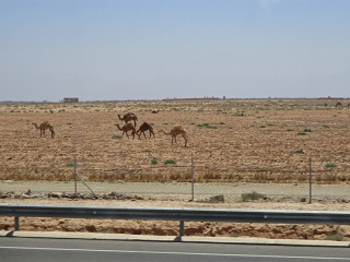 Agadir | Marokko