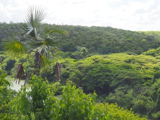 Dominikanische Republik | DO