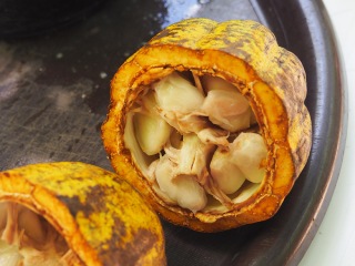 Dominikanische Republik | DO