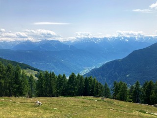 Aussicht von Alp Grüm Sur | CH