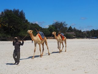 Diani Beach | Kenia