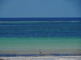Diani Beach | Kenia