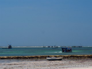 Diani Beach | Kenia