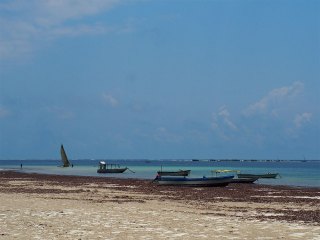 Diani Beach | Kenia