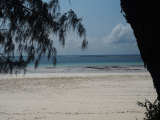 Diani Beach | Kenia