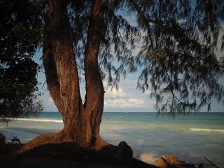 Diani Beach | Kenia