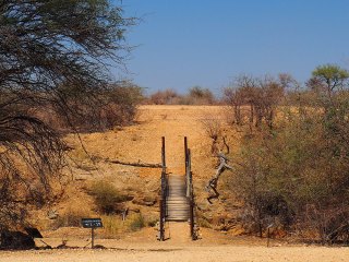 Okapuka | Namibia