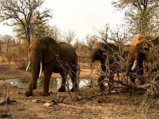 Victoria Falls | Simbabwe