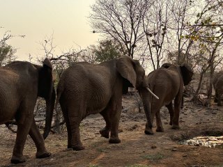 Victoria Falls | Simbabwe