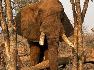 Victoria Falls | Simbabwe