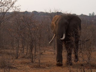 Victoria Falls | Simbabwe