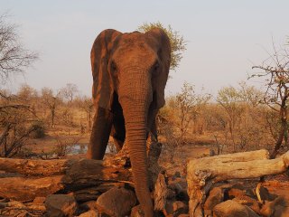 Victoria Falls | Simbabwe