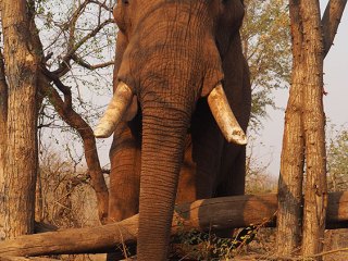 Victoria Falls | Simbabwe