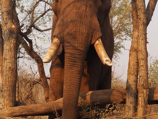 Victoria Falls | Simbabwe