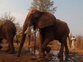 Victoria Falls | Simbabwe