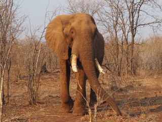 Victoria Falls | Simbabwe