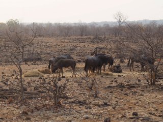 Victoria Falls | Simbabwe