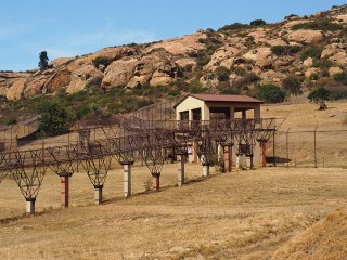 Lionsrock | Südafrika