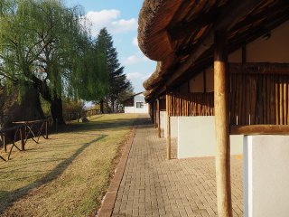 Lionsrock | Südafrika