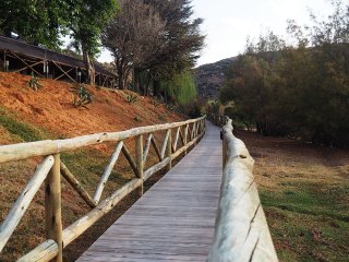 Lionsrock | Südafrika