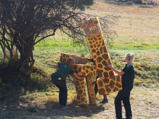 Lionsrock | Südafrika