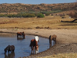 Lionsrock | Südafrika