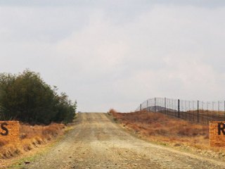 Lionsrock | Südafrika