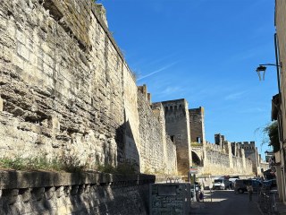 Avignon| FR